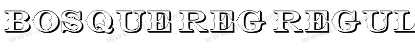 Bosque Reg Regular字体转换